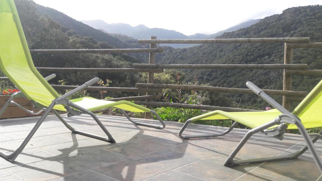 San-Martino-di-Lota Appartement Giannoni מראה חיצוני תמונה