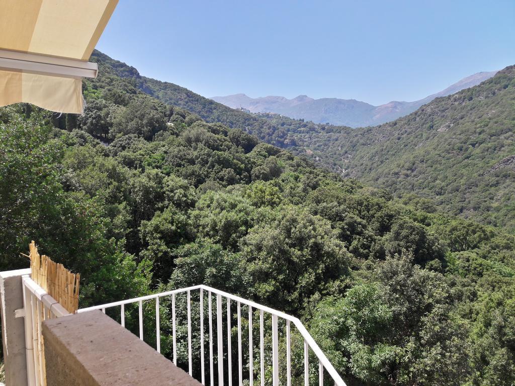 San-Martino-di-Lota Appartement Giannoni מראה חיצוני תמונה